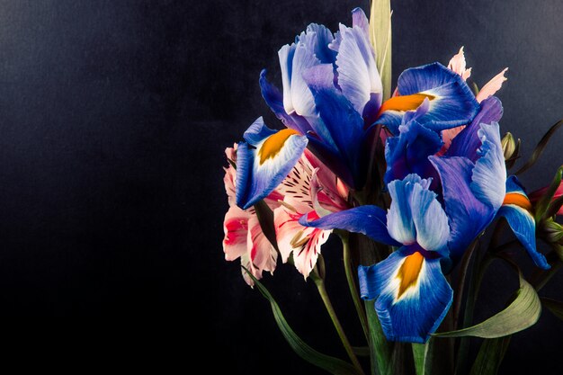 Vue latérale d'un bouquet d'alstroemeria de couleur rose et violet et fleurs d'iris sur fond noir avec copie espace