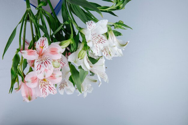 Vue latérale d'un bouquet de fleurs d'alstroemeria de couleur rose et blanc dans une boîte bleue sur fond gris clair