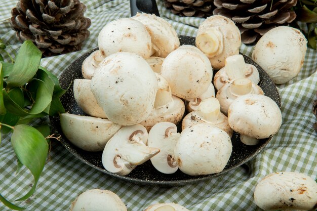 Vue latérale des champignons blancs frais sur une poêle et des cônes avec des feuilles vertes sur tissu à carreaux