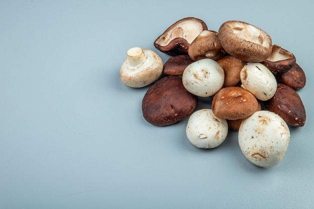 Vue latérale des champignons frais sur bleu clair avec copie espace