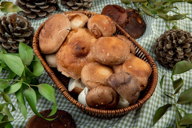 Vue latérale des champignons frais dans un panier en osier et des cônes avec des feuilles vertes sur tissu à carreaux