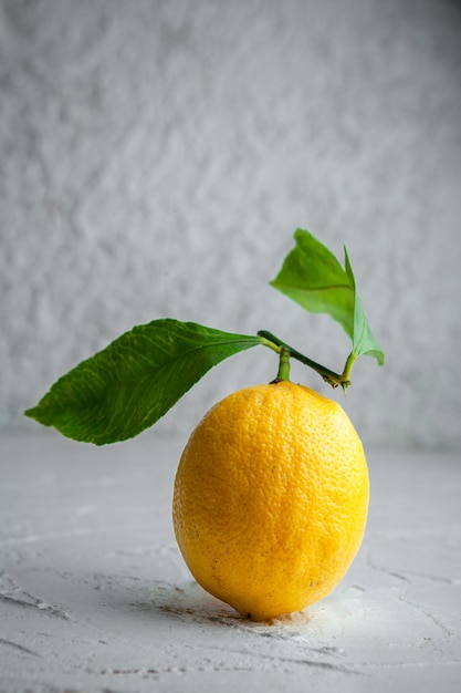 Vue latérale citron avec des feuilles sur fond texturé blanc. espace vertical pour le texte