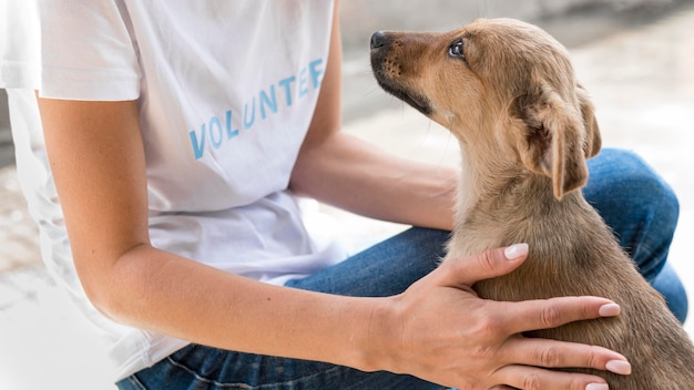 Photo gratuite vue latérale du chien de sauvetage aimant l'affection reçoit de la femme au refuge