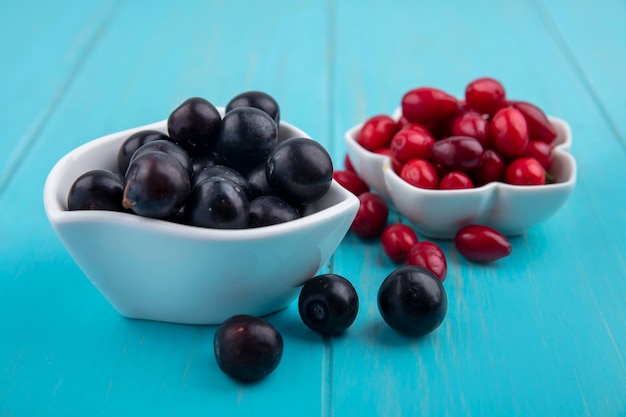 Photo gratuite vue latérale du raisin noir frais sur un bol avec des baies de cornouiller sur un fond en bois bleu