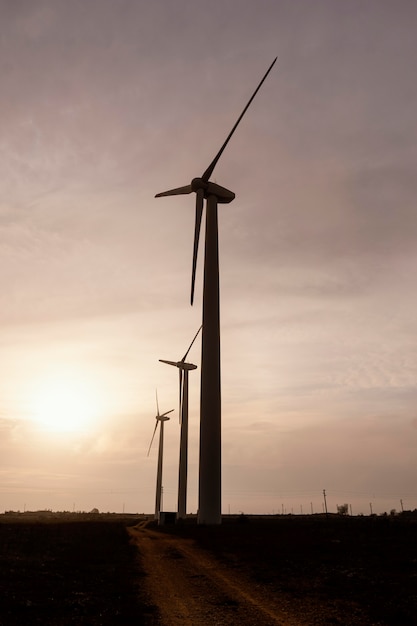 Vue latérale des éoliennes au coucher du soleil générant de l'énergie