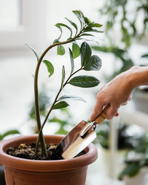 Vue latérale de la femme à l'aide de la truelle sur plante d'intérieur