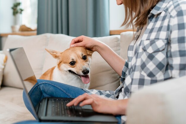 Vue latérale d'une femme avec un chien sur un canapé travaillant sur un ordinateur portable