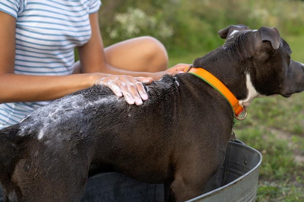 Photo gratuite vue latérale femme lavant un chien mignon