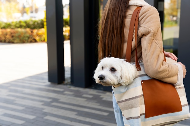 Photo gratuite vue latérale femme portant un chien dans un sac