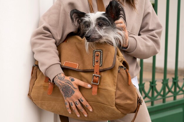 Photo gratuite vue latérale femme portant un chiot dans un sac