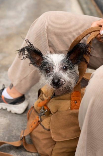 Photo gratuite vue latérale femme portant un chiot dans un sac