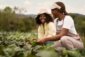 Photo gratuite vue latérale des femmes souriantes travaillant ensemble