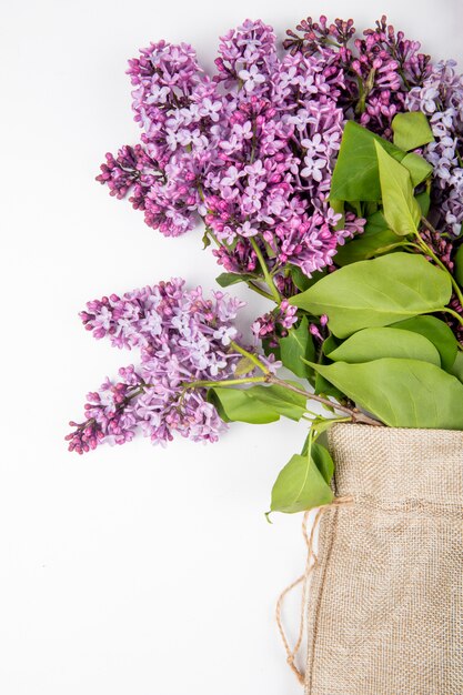 Vue latérale des fleurs lilas dans un sac sur fond blanc