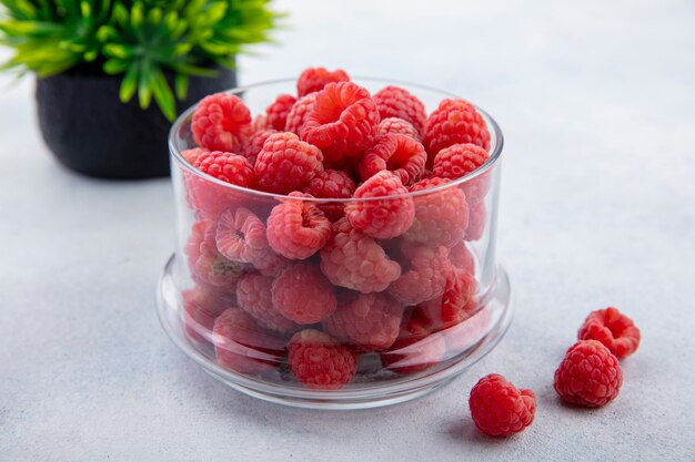 Vue latérale des framboises dans un bol en verre avec fleur sur blanc