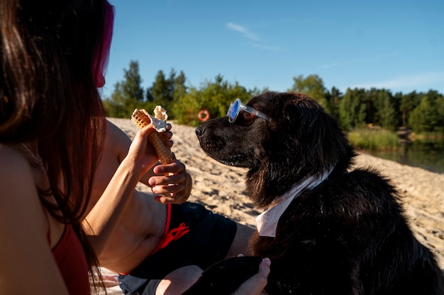 Vue latérale des gens avec un chien mignon à la plage