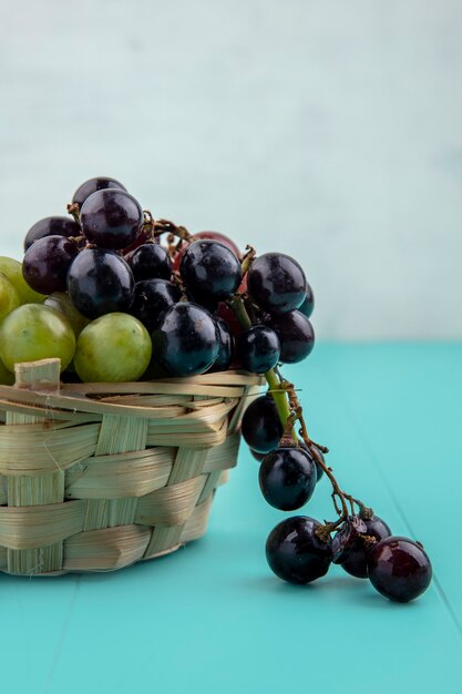 Vue latérale des raisins dans le panier sur la surface bleue et fond blanc