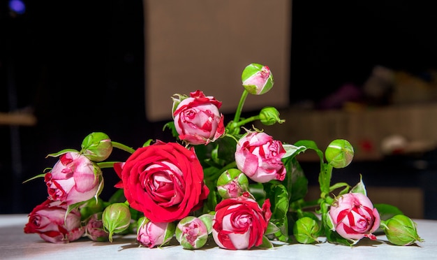 Vue latérale de roses rouges avec des bourgeons et des feuilles vertes sur fond blanc