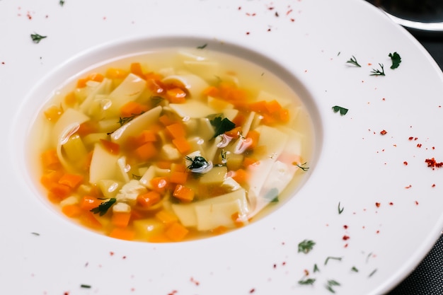 Vue latérale de la soupe de nouilles au poulet maison avec des légumes dans une assiette