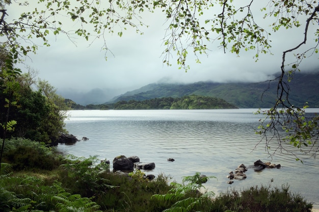 Une Vue Sur Le Loch Morar écossais Encadré Par Des Branches D'arbres Tôt Le Matin Pris Bas Sur Le Rivage Photo Premium
