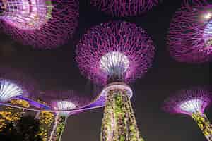Photo gratuite vue de nuit de supertree grove à gardens by the bay à singapour. couvrant 101 hectares de terres récupérées dans le centre de singapour, à côté du réservoir marina