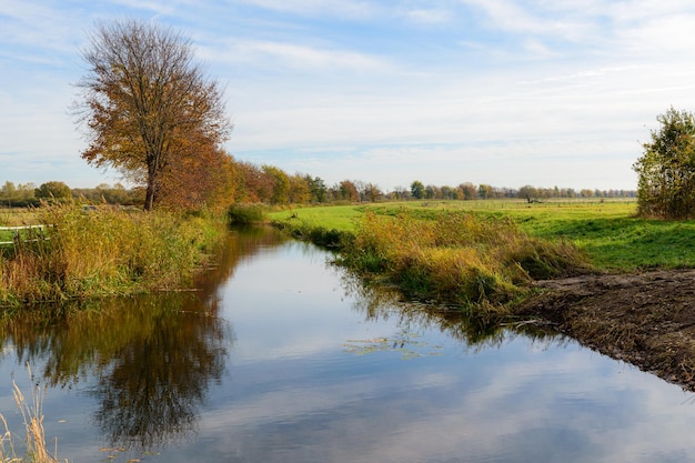 Vue panoramique des arbres reflétés sur une rivière sous un ciel nuageux