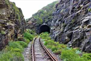 Photo gratuite vue panoramique d'un chemin de fer au tunnel à travers les roches couvertes de verdure