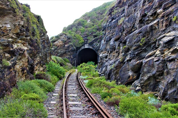 Vue panoramique d'un chemin de fer au tunnel à travers les roches couvertes de verdure
