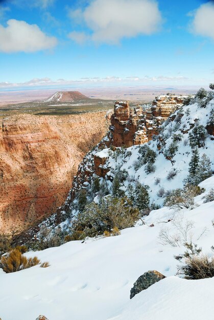 Vue panoramique du Grand Canyon en hiver avec de la neige