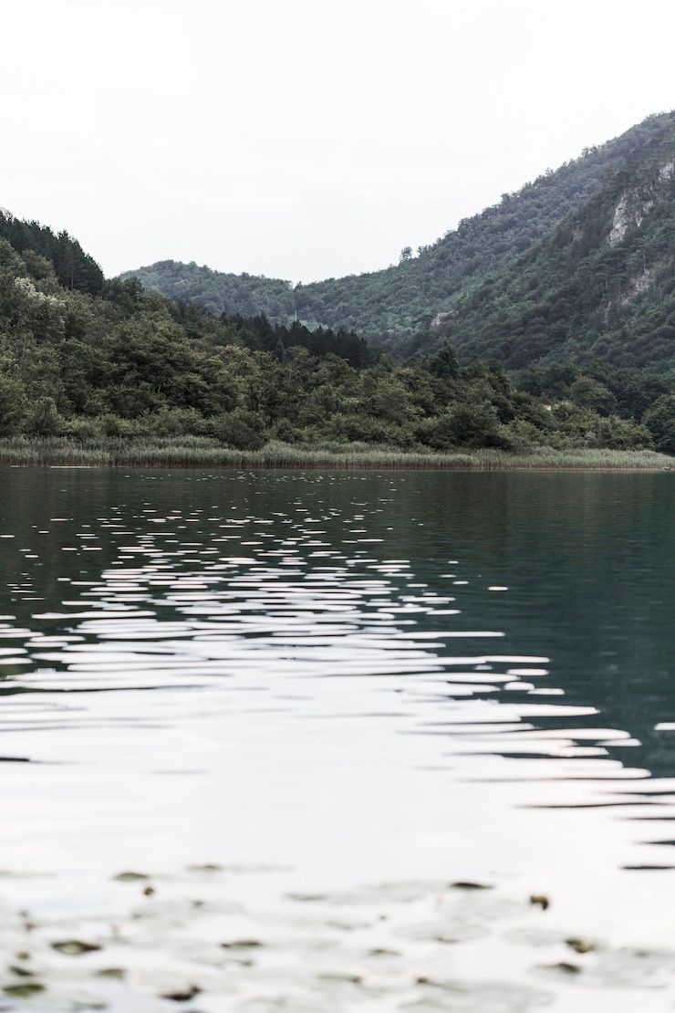 Photo gratuit vue panoramique du lac près des montagnes verdoyantes