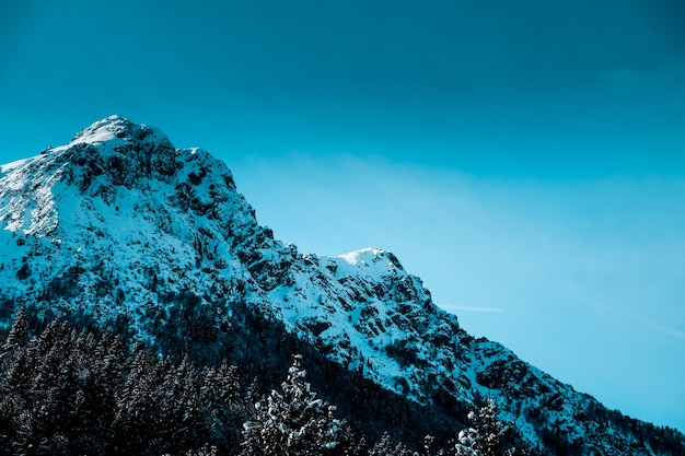 Vue panoramique du sommet de la montagne déchiquetée couverte de neige avec des arbres alpins au pied de la montagne