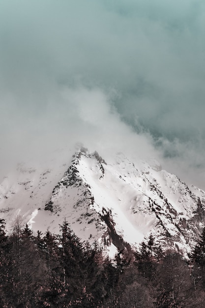 Photo gratuite vue panoramique de la montagne enneigée