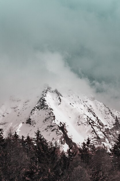 Vue panoramique de la montagne enneigée