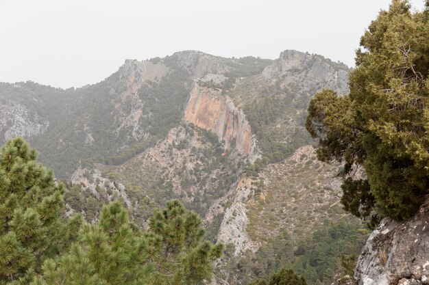 Vue panoramique sur les montagnes