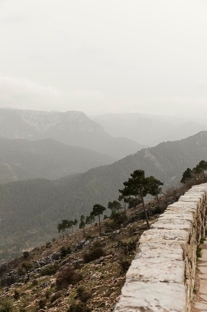 Photo gratuite vue panoramique sur la nature