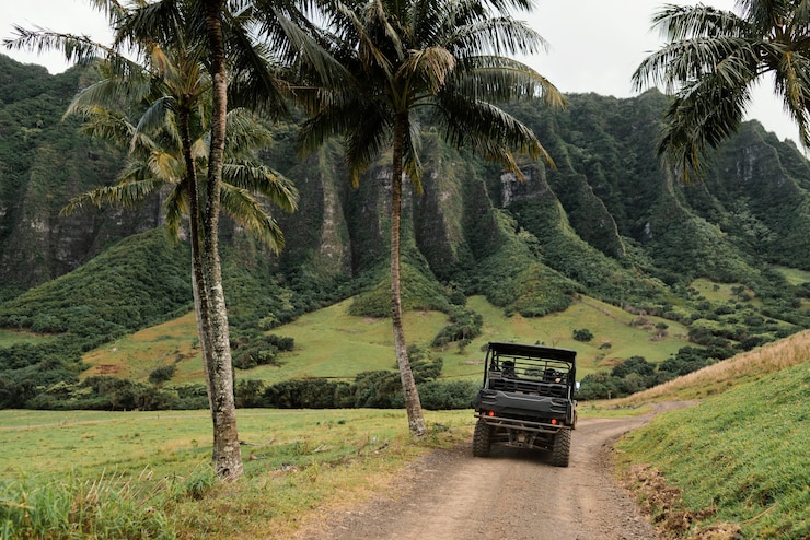 Photo gratuit vue panoramique de la voiture jeep à hawaii