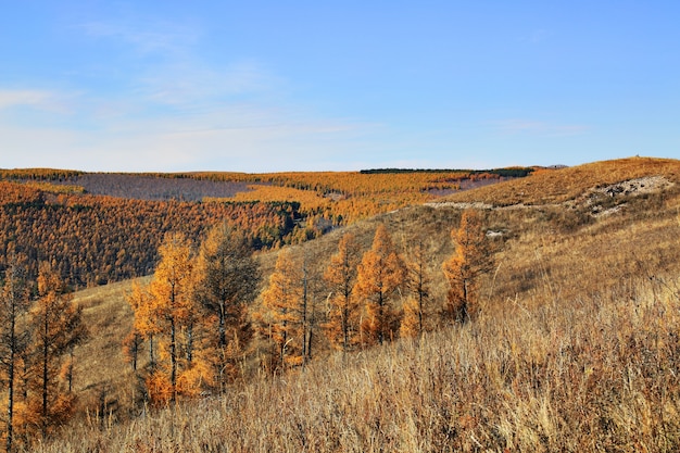 Photo gratuite vue paysage autumnal