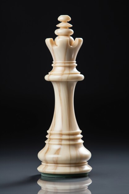 Vue d'une pièce d'échecs singulière