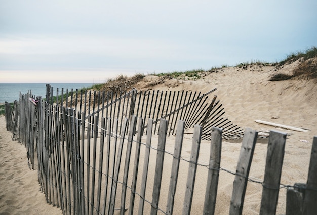 Vue sur la plage de sable