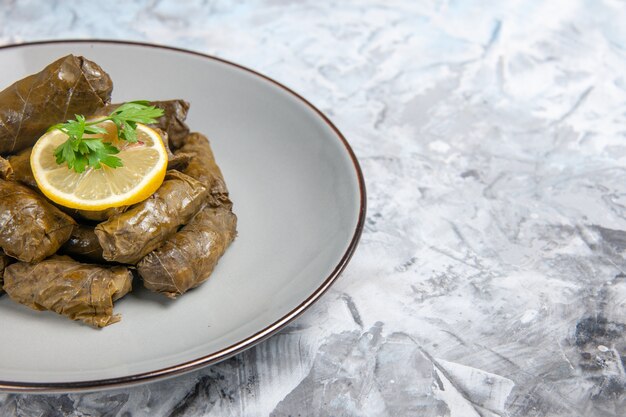 Vue rapprochée avant de la savoureuse feuille dolma à l'intérieur de la plaque sur une surface blanche