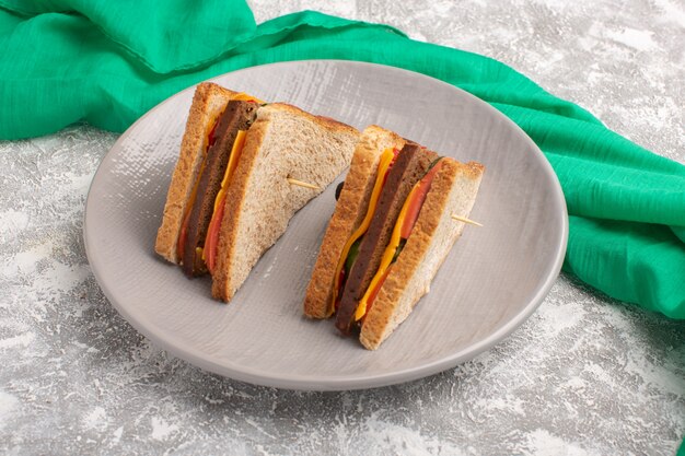 Vue rapprochée avant de savoureux sandwichs toast avec jambon au fromage à l'intérieur de la plaque blanche surface