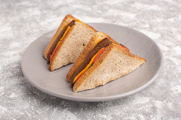 Vue rapprochée avant de savoureux sandwichs toast avec jambon au fromage à l'intérieur de la plaque blanche surface