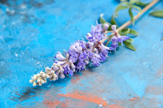 Vue rapprochée en bas de la branche de fleurs violettes sur l'espace libre de la table bleue