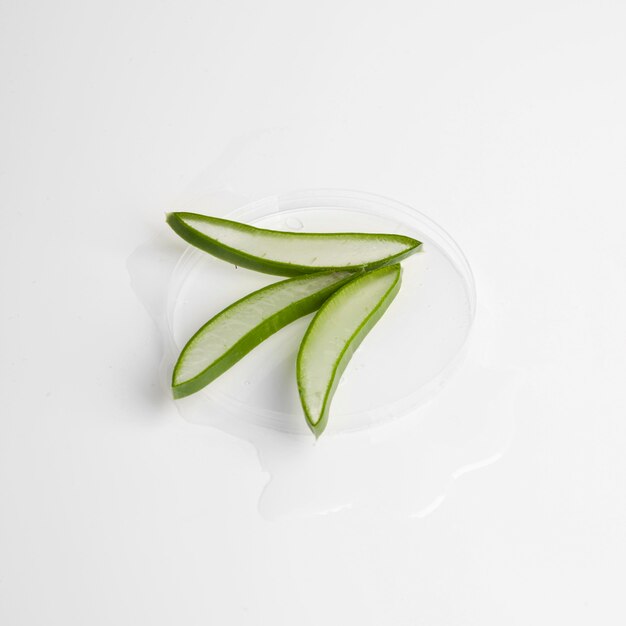 Vue rapprochée du concept de beauté d'aloe vera