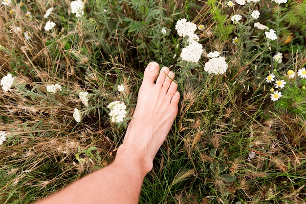 Vue rapprochée du concept de la nature