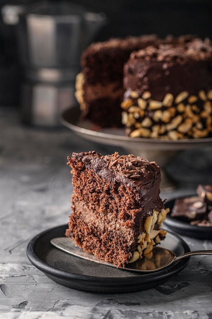 Vue rapprochée du délicieux gâteau au chocolat