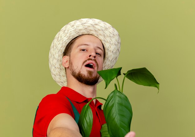 Vue Rapprochée Du Jeune Beau Jardinier Slave Confiant En Uniforme Et Hat Holding Plant à La Main Tendue Vers Isolé