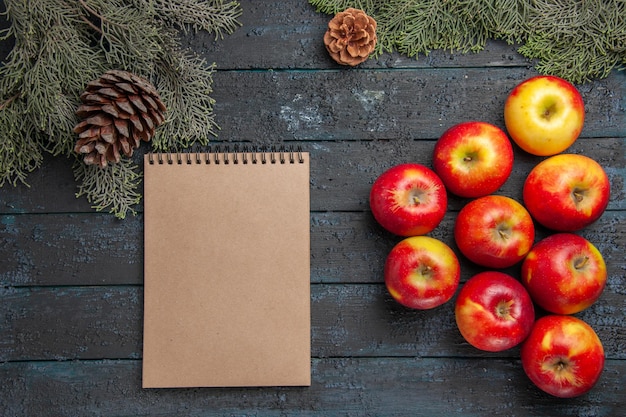 Vue rapprochée des fruits et du cahier neuf pommes et cahier sous les branches d'arbres avec des cônes