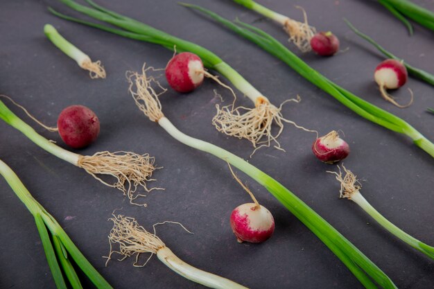 Vue rapprochée de légumes comme le radis et l'oignon vert sur fond marron