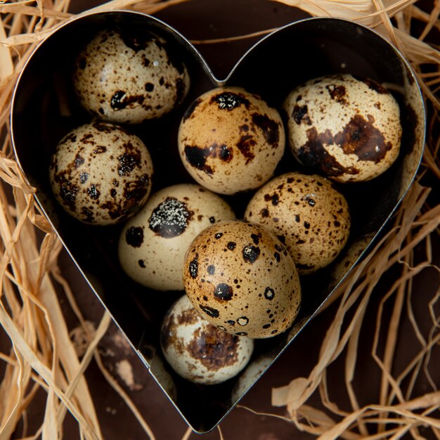 Vue rapprochée de mini oeufs dans une boîte en forme de coeur sur fond de paille