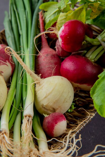 Vue rapprochée de la plaque pleine de légumes comme l'oignon vert et le radis